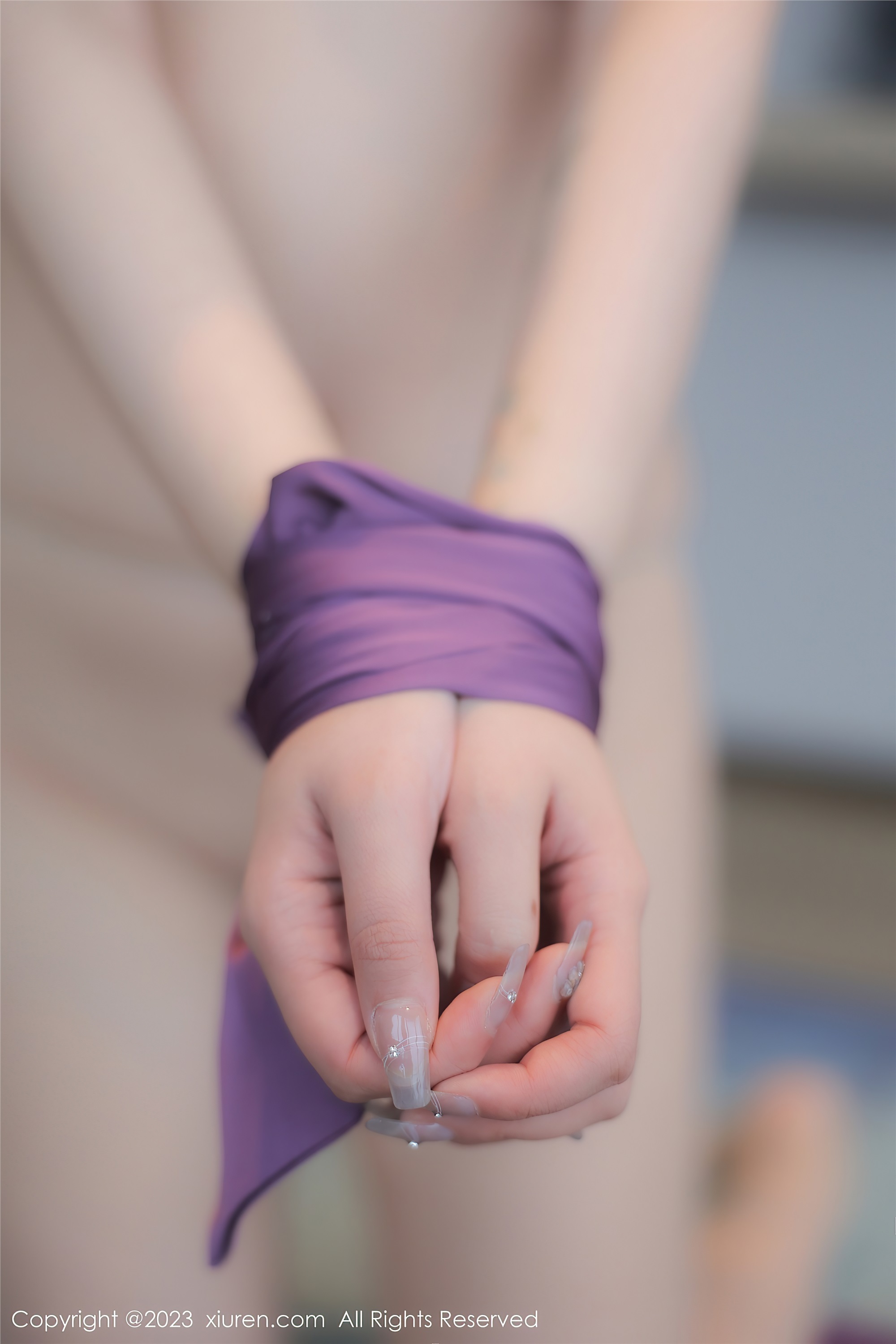 XiuRen秀人网  2023.03.23 NO.6462 江真真